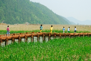 순천만 탐방로위의동심