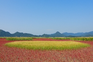 서근석-2