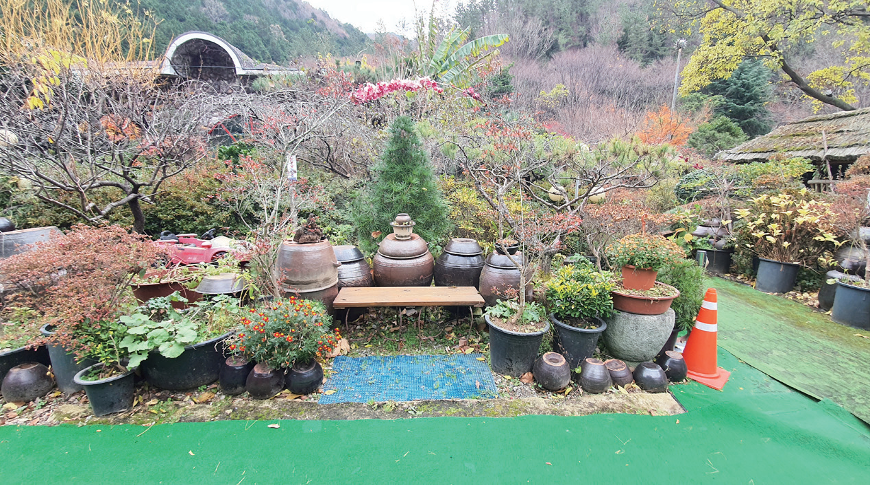 산수정 치유정원