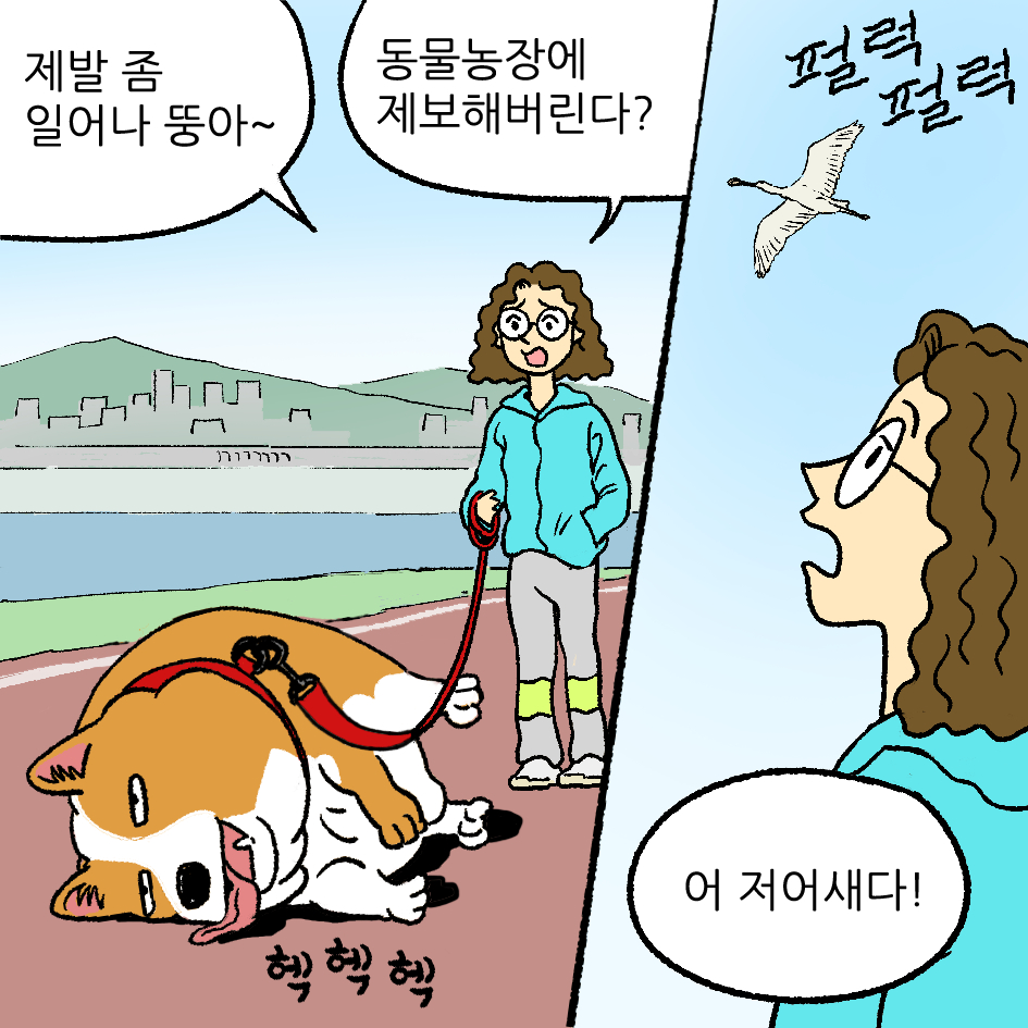 뚱이의 산책