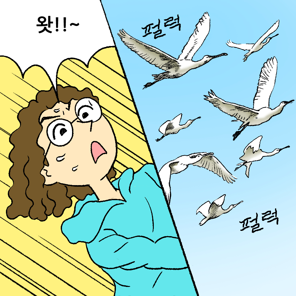 뚱이의 산책