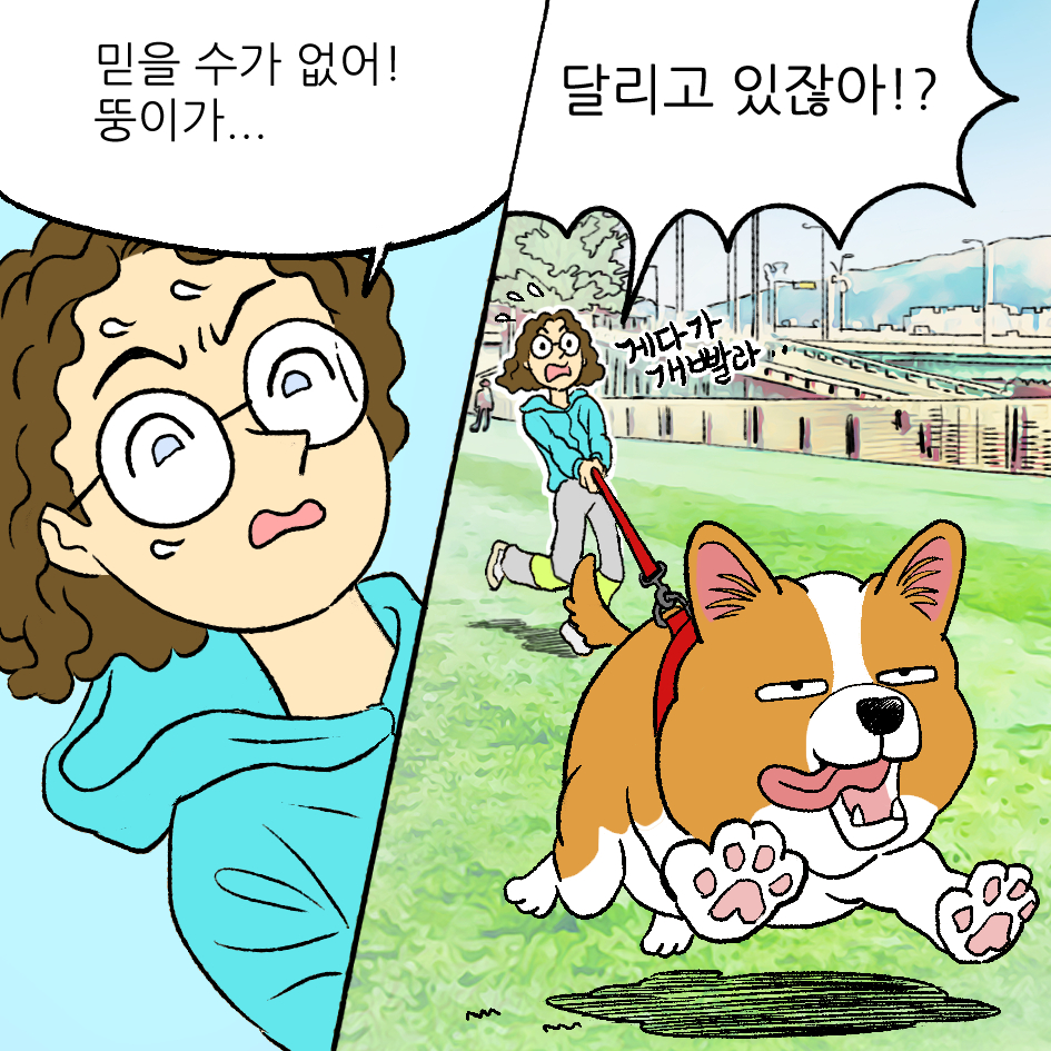 뚱이의 산책