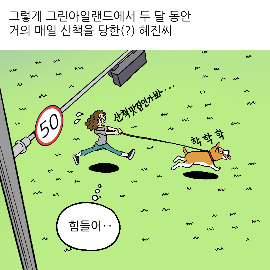 뚱이의 산책