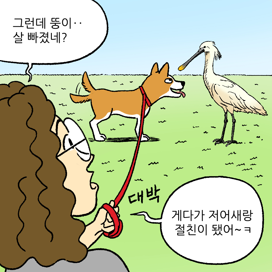 뚱이의 산책