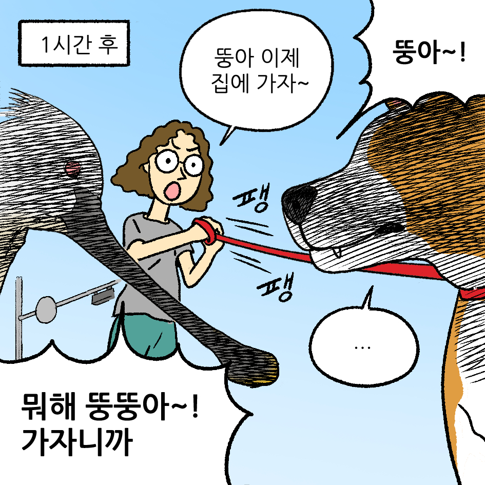 뚱이의 산책