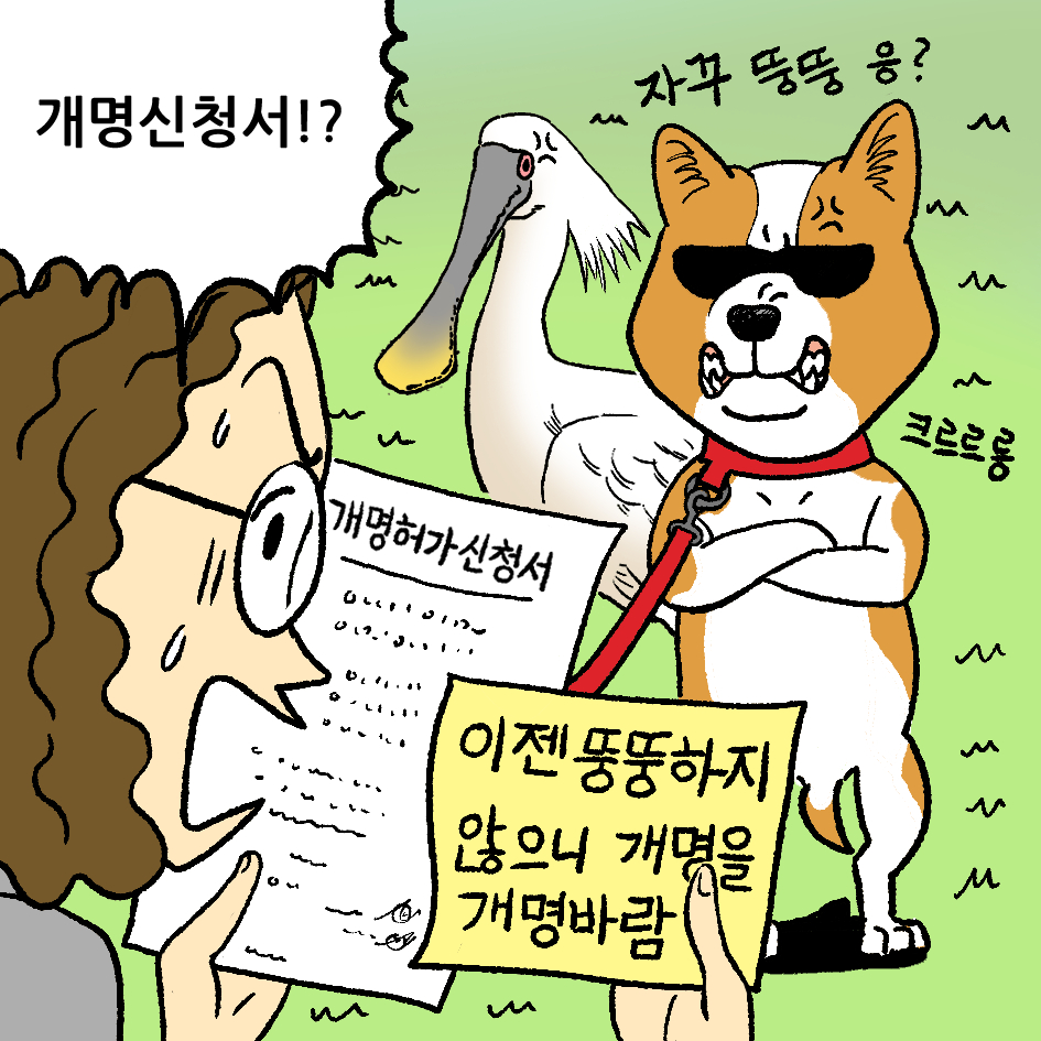 뚱이의 산책