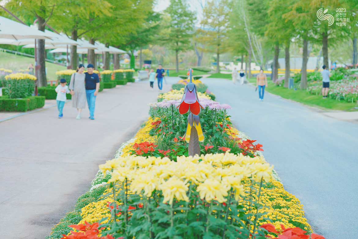 억만 송이 국화