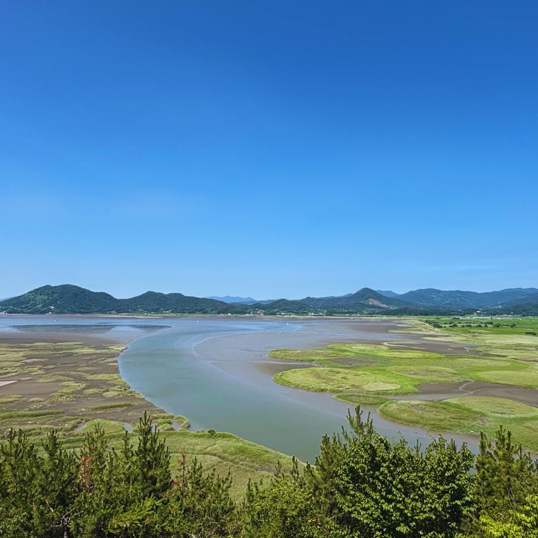 용산전망대 재개장