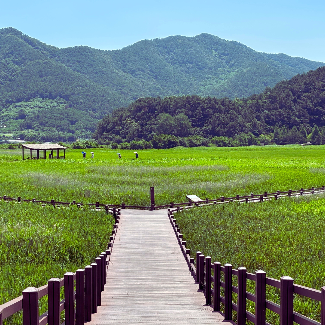 용산전망대 재개장