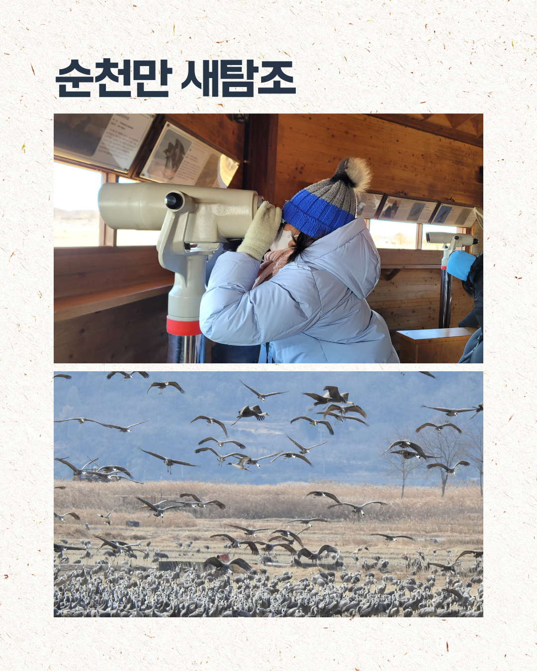 2026 설명절 특별 프로그램 운영