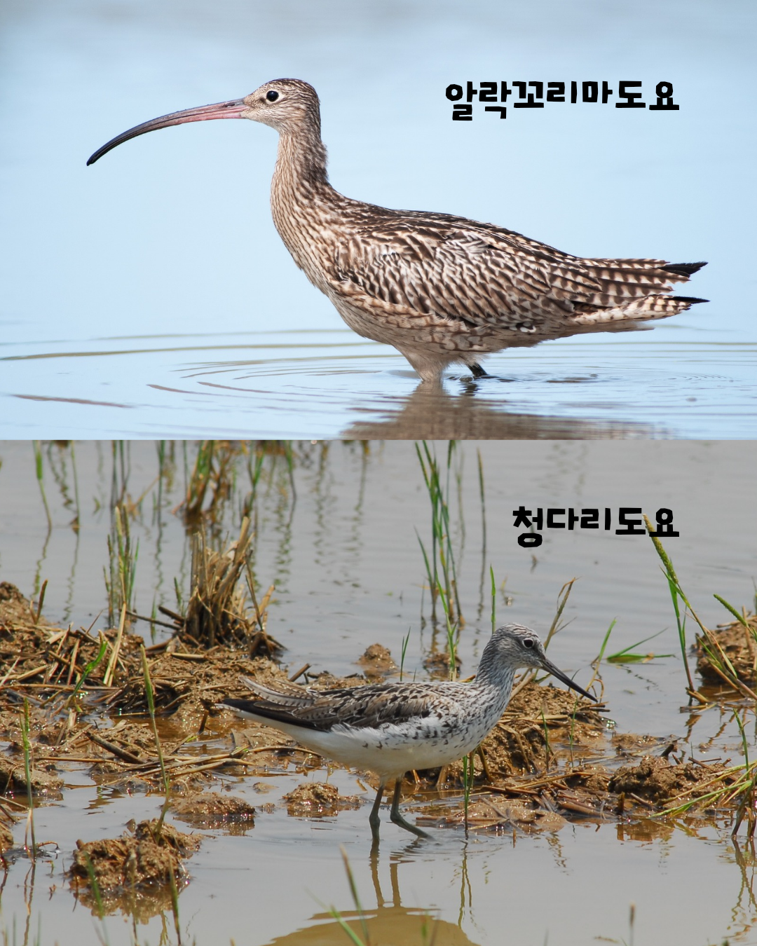 순천만 가을 생태탐험