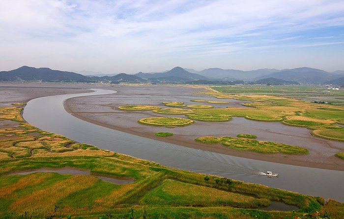 순천만 전경 사진