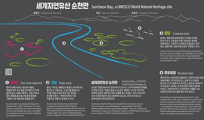 세계자연유산 순천만