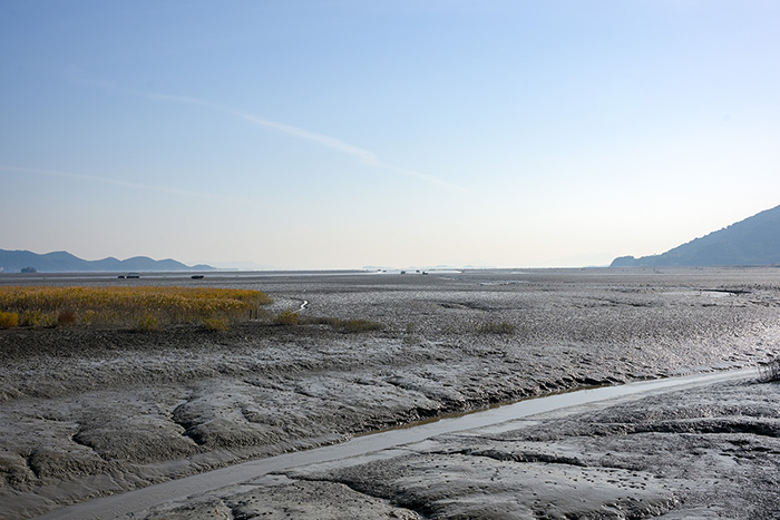 순천만의 일몰 사진