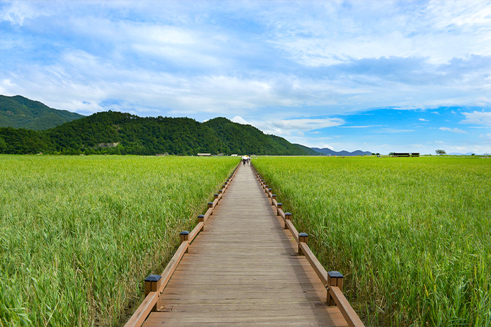 순천만의 일몰 사진