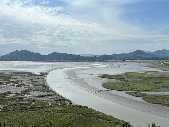용산전망대에서 내려다본 순천만 S자 갯골