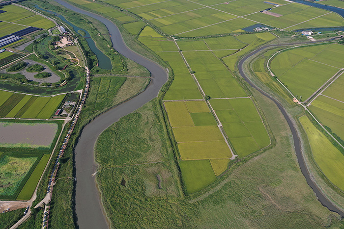 동천하구 습지보호지역