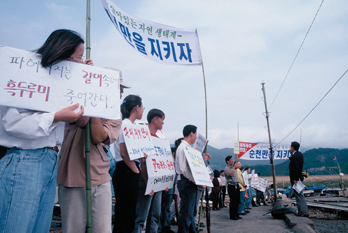 용산전망대에서 내려다본 순천만 S자 갯골