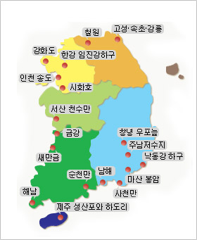 지역별 철새도래지로 고성·속초·강릉, 철원,강화도,한강 임진강하구 인천 송도, 시화호, 서산 천수만, 금강, 새만금, 순천만, 해남, 창녕 우포늪, 주남저수지, 낙동강 하구, 남해, 마산 봉암, 사천만, 제주 성산포와 하도리가 나타나 있는 지도