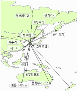 철새의 이동 지도로 한국에서 이동을 시계방향으로 뒷부리도요, 재두루미, 큰기로기, 큰기러기, 흑두루미,큰뒷부리도요, 큰뒷부리도요 , 붉은어깨도요, 저어새, 독수리, 두루미가 해당 방향으로 이동하는 표시이다.