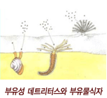 부유성 데트리터스와 부유물 식자 그림