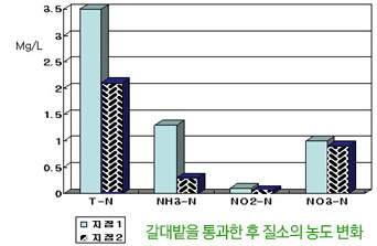 갈대밭을 통과한 후 질소의 농도 변화 그래프