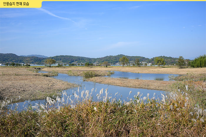 순천만 내륙 습지 복원 후(안풍습지) 사진
